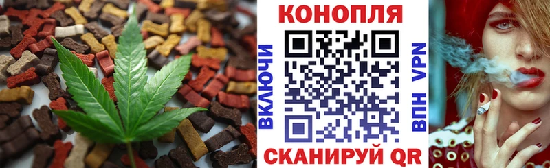 как найти наркотики  Цивильск  даркнет как зайти  Cannafood марихуана 