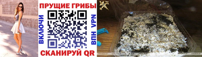 Галлюциногенные грибы Cubensis  shop состав  Цивильск 